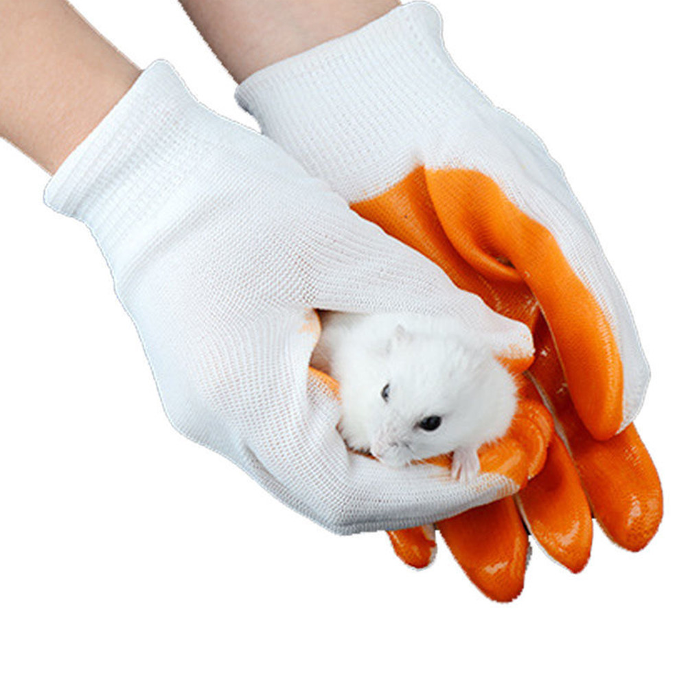 1 paar beschermende dierenhand - Cut Resistant Glove recensie en prijs