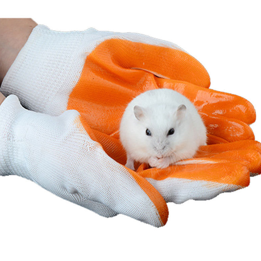 1 paar beschermende dierenhand - Cut Resistant Glove recensie en prijs