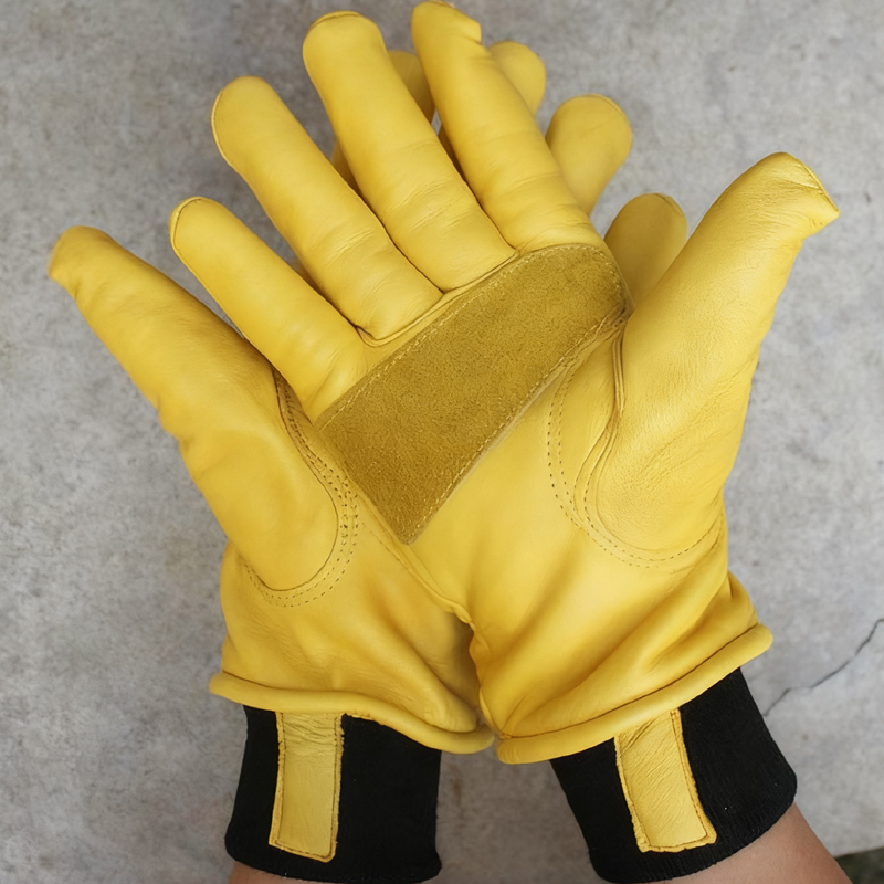 Heren motorfiets winterhandsch - Winter Glove Insulated recensie en prijs
